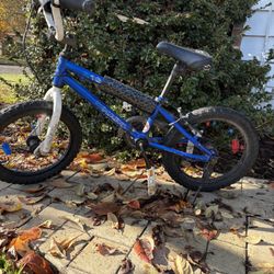 16” Kids Bike