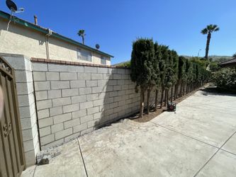 Block Wall With Brick Caps 