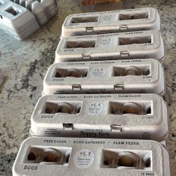 Organic Chicken Eggs 🥚 (1 Doz)