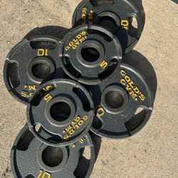 Golds Gym Olympic Weights 