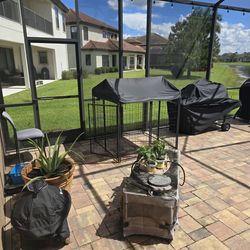 Large Dog Cage (Free)