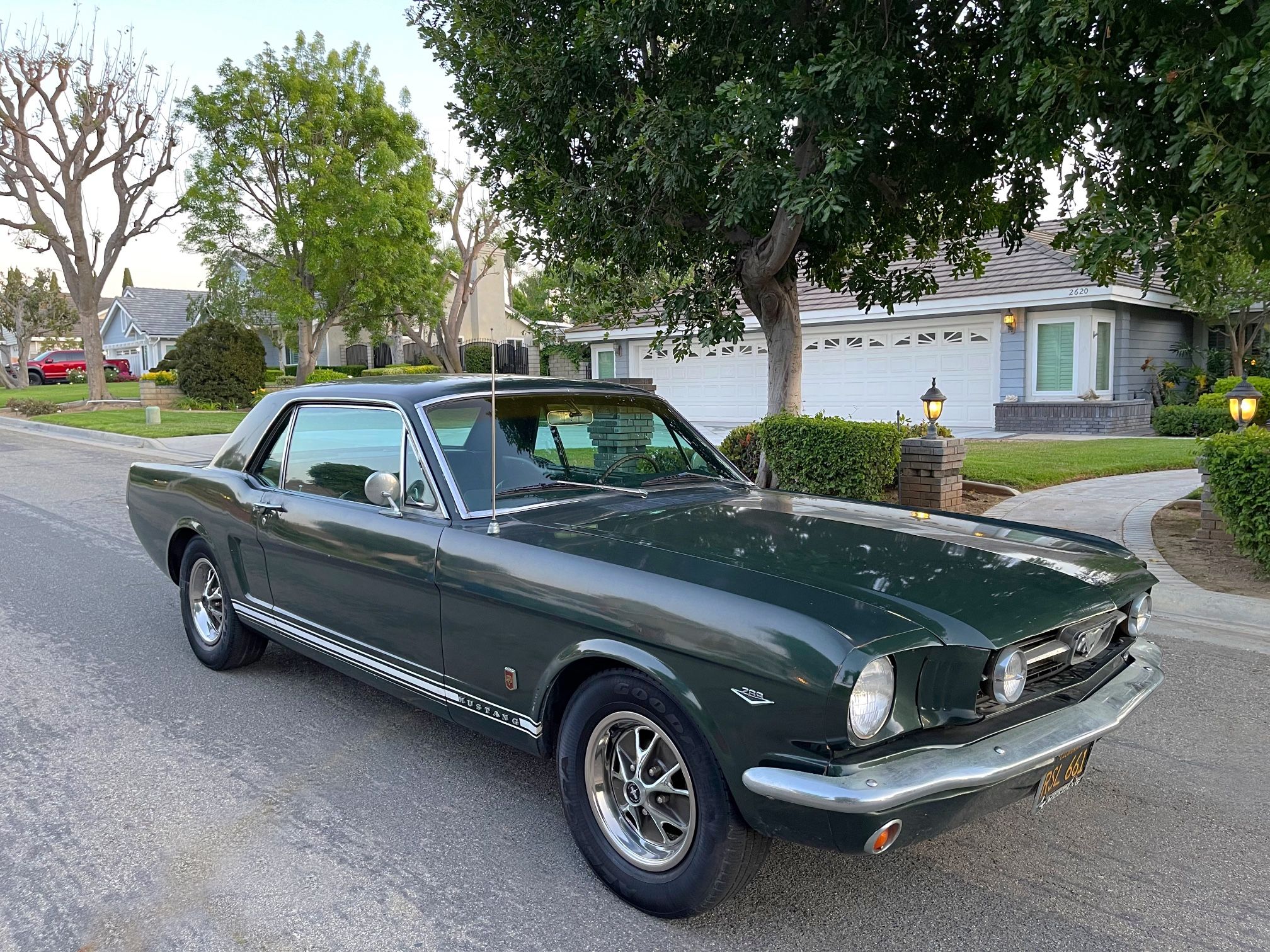 1966 Ford Mustang