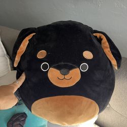 Cute Dog Squishmellow!!! Medium Size 