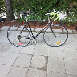 Biscayne Galaxy Vintage Road Bike