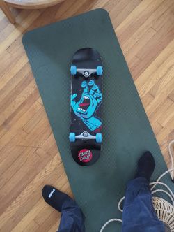 Santa Cruz Skate Board