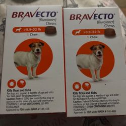 Orange Box For Dogs 