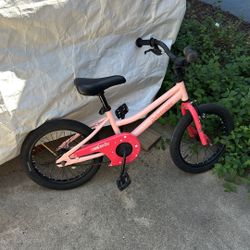 Retrospec Bike 16in Wheels