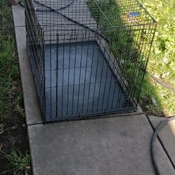 Dog Kennel
