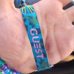 EDC 2024 Guest Pass