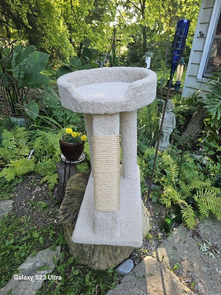 Cat Tower