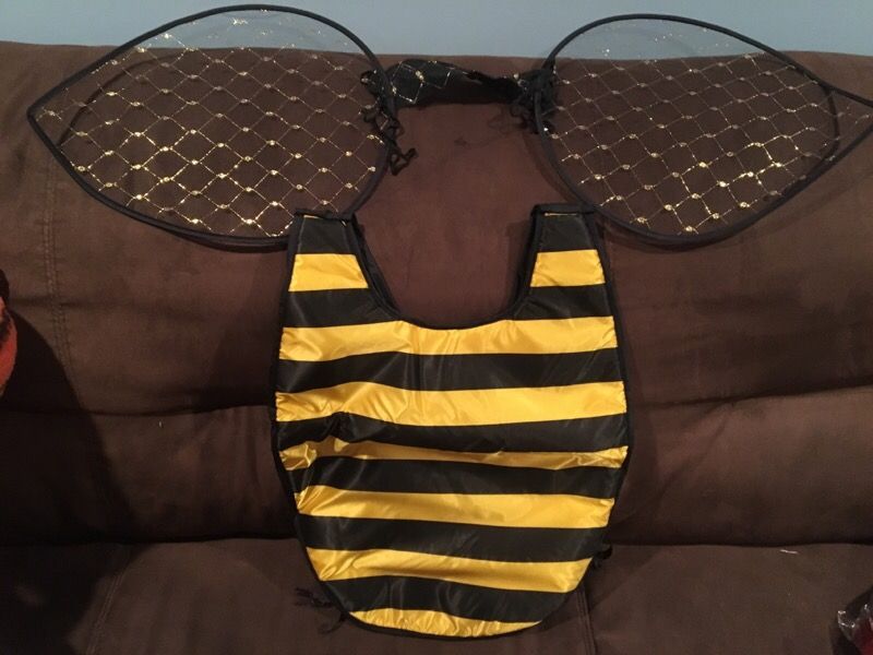 Bumblebee costume