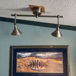Gallery Sconces - Set Of 2 doubles -Pottery Barn