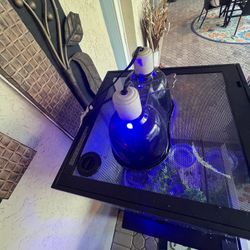 Reptile/snake Fancy Cage  With Heater & Dual lights