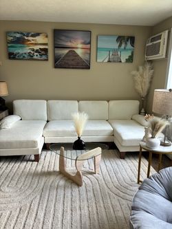 Brand New Couch