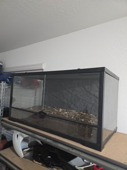 40 gallon terrarium
