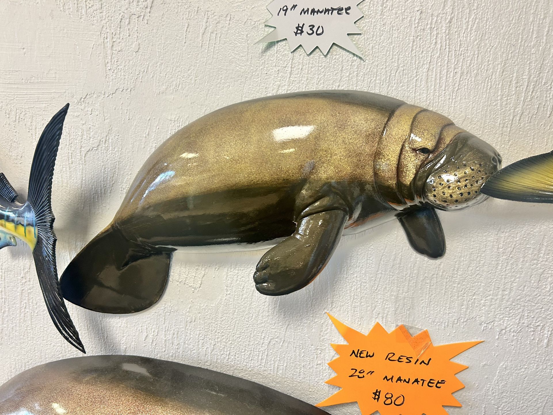 New Resin 19” Manatee
