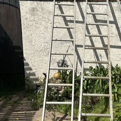 Extendable Ladder 32’