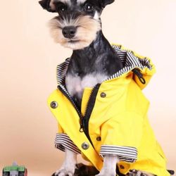 Size S Yellow Stripped Zippered Rain Coat