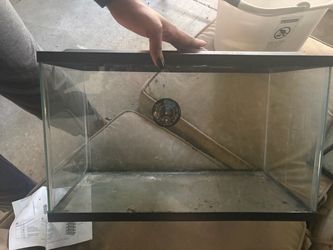 10-Gallon Glass Aquarium with Hood – 20” × 10” × 12”