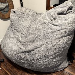 Bean bag pillow sac