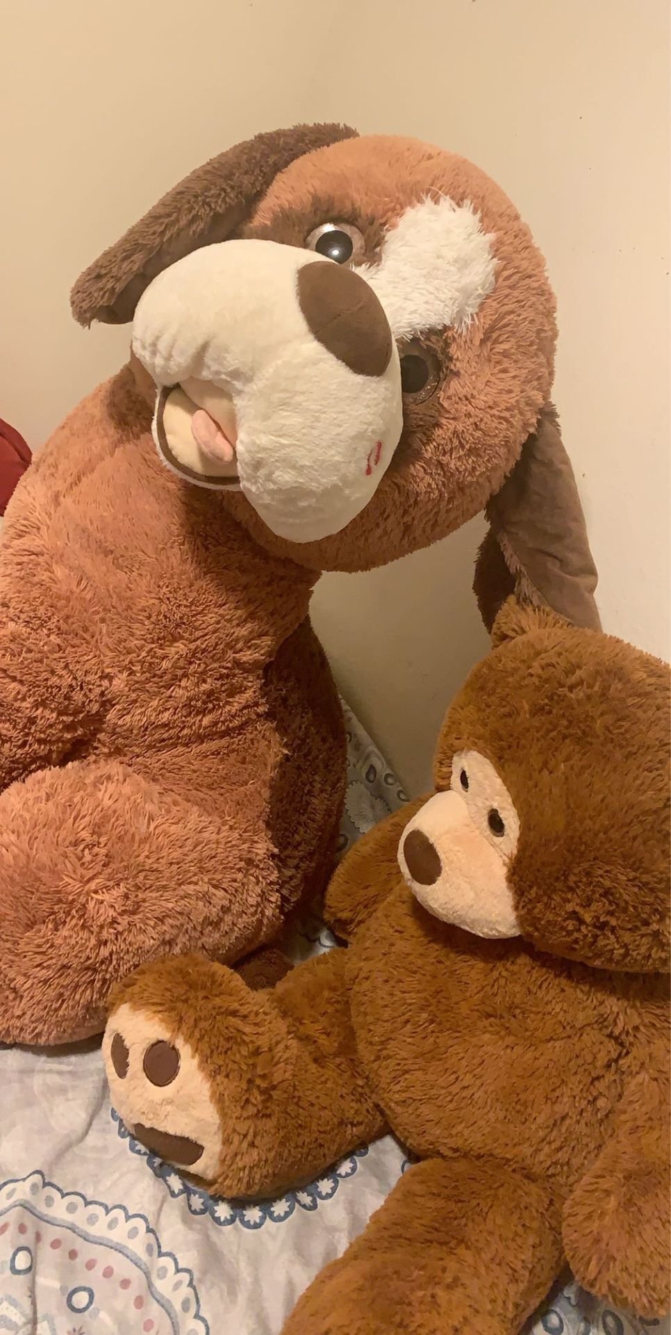 Bear and dog