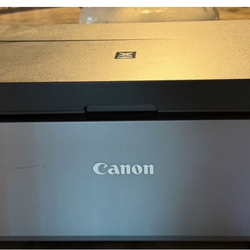 Canon PIXMA PRO 100  Picture Printer plus  ink