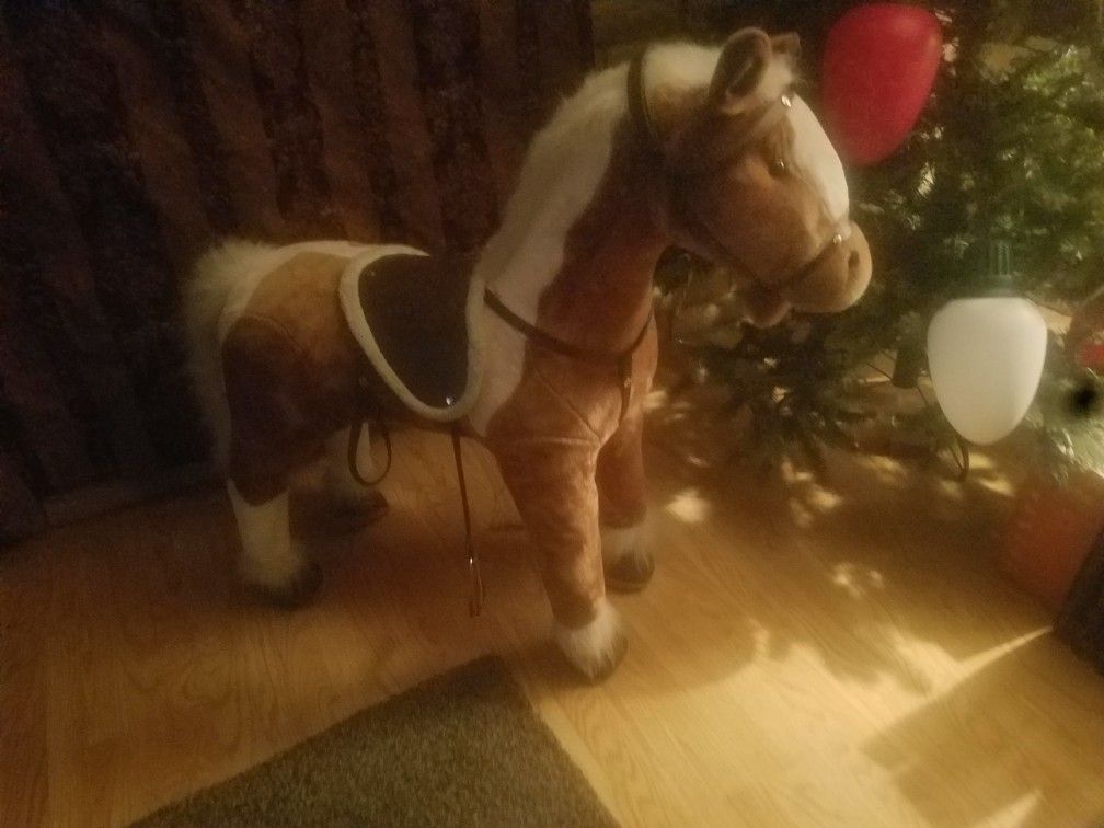 PONY HORSE