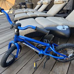 Mini Specialized Bike for kids
