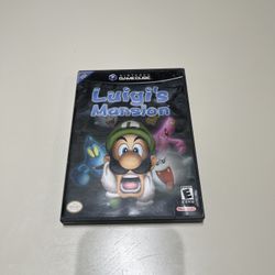 Luigi’s Mansion 