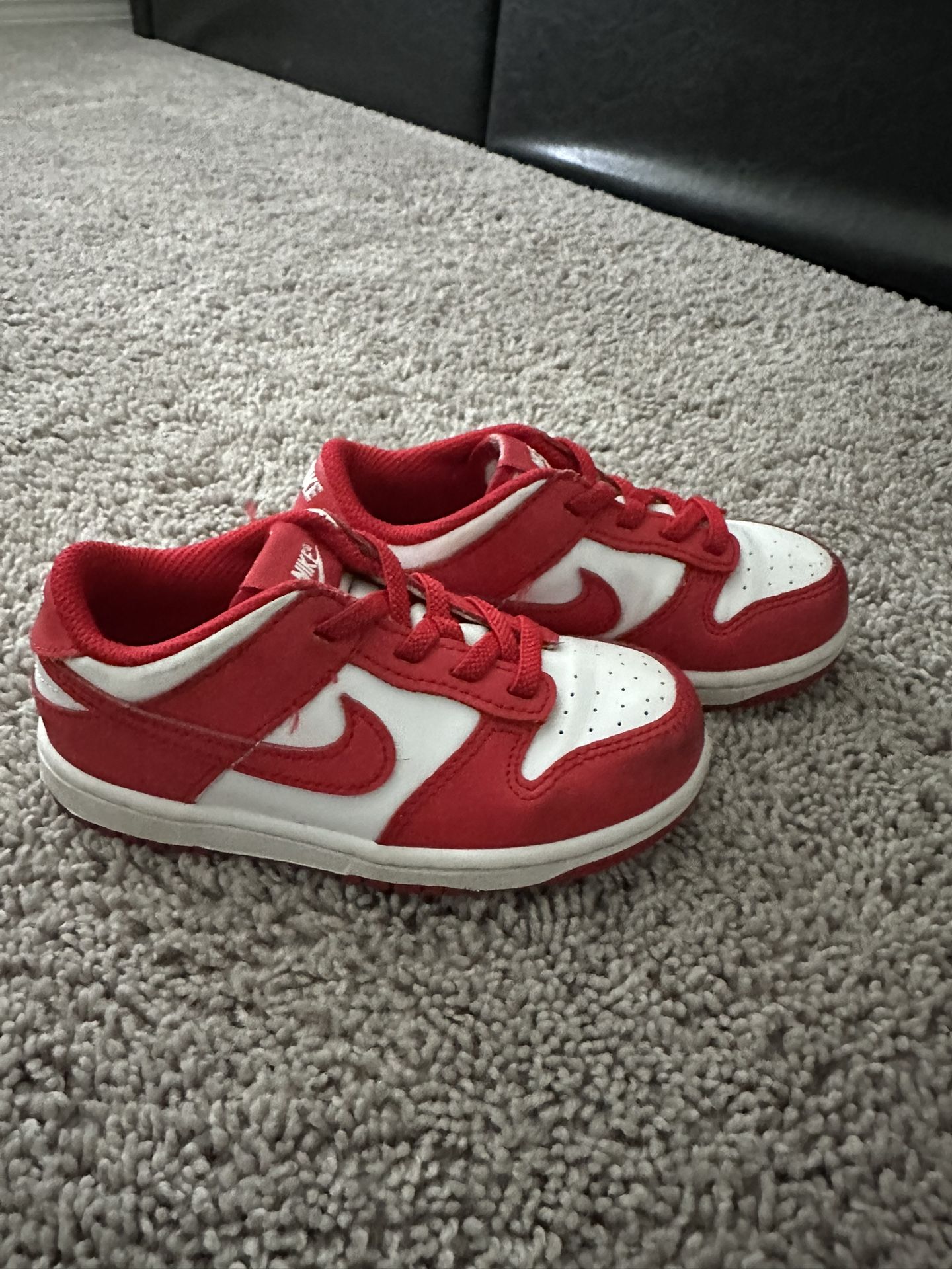 Kids Nike Dunks