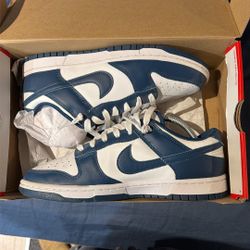 Blue Dunks 