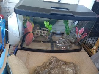 FiSh tank with lid