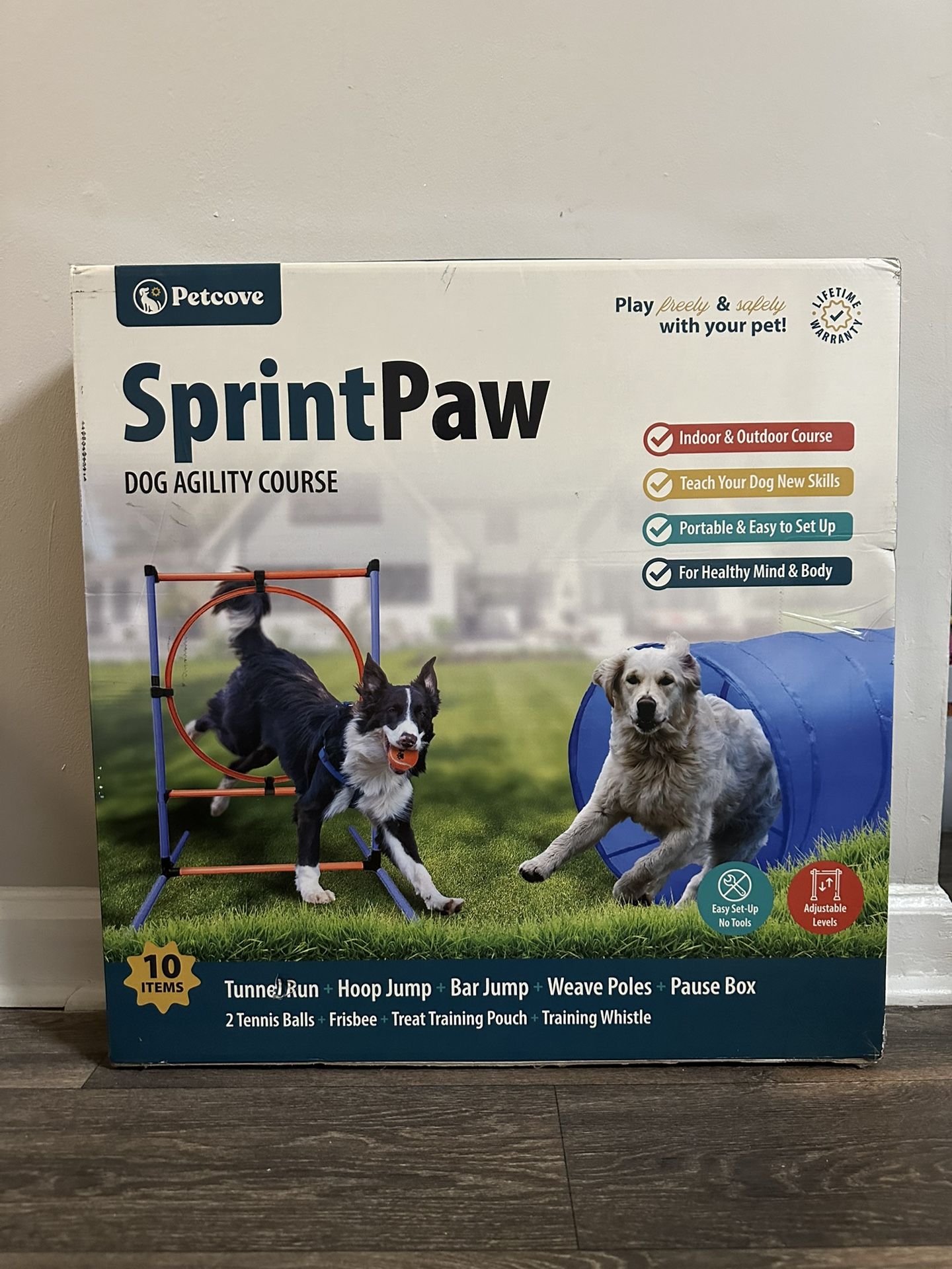 Backyard Dog Agility Set