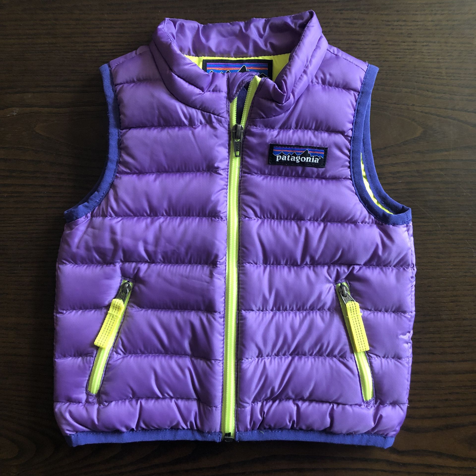 Patagonia Puffer Down Sweater Vest 3/6Months