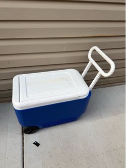 Cooler