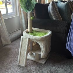 Cat Condo Small With Scratching Post 
