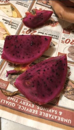 Red, Yellow, Pink or white dragon fruit plant (thanh long) dragonfruit