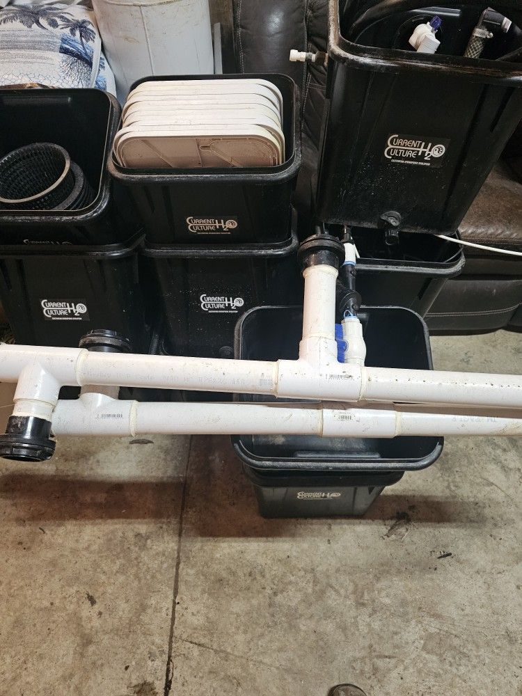 Hydroponic System