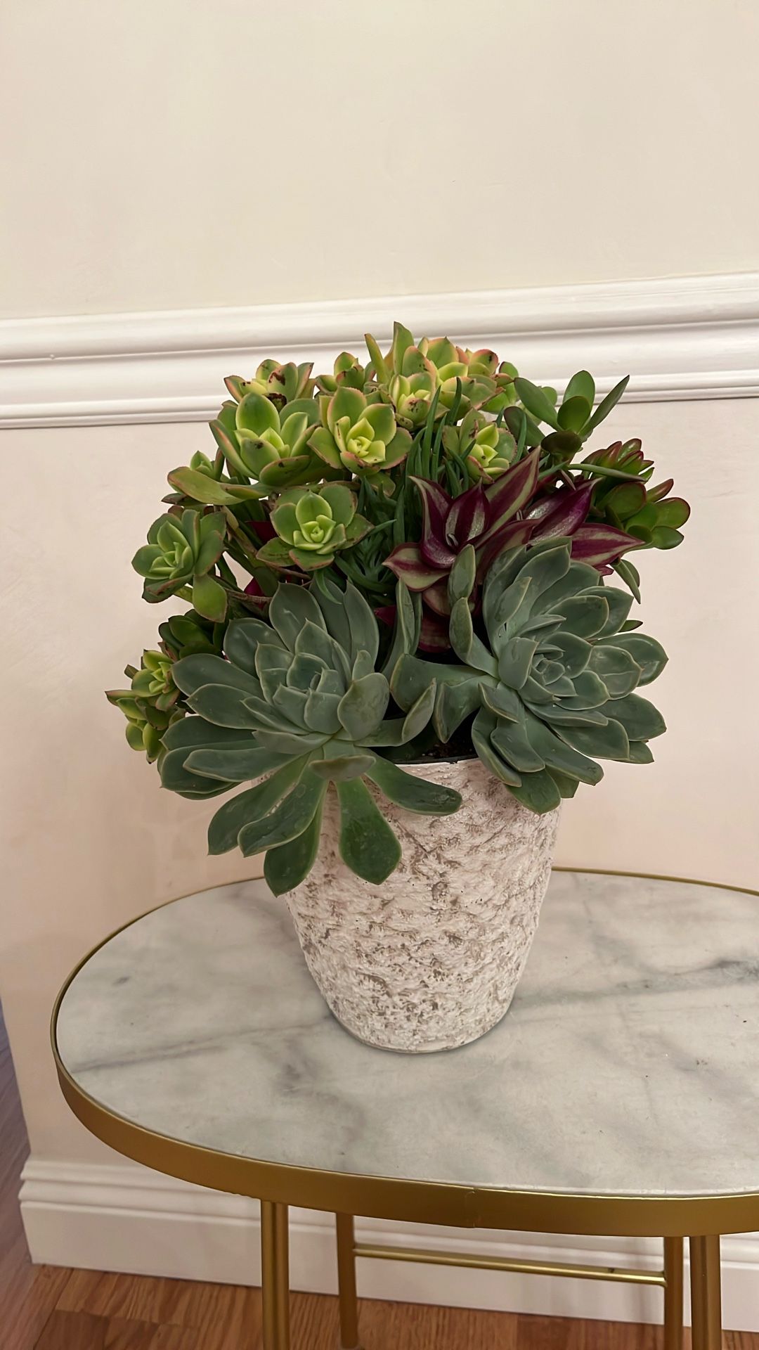 Large Succulent Arrangement.