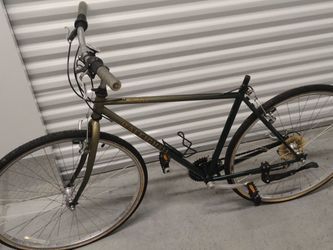 Raleigh USA C40 Hybrid Bicycle