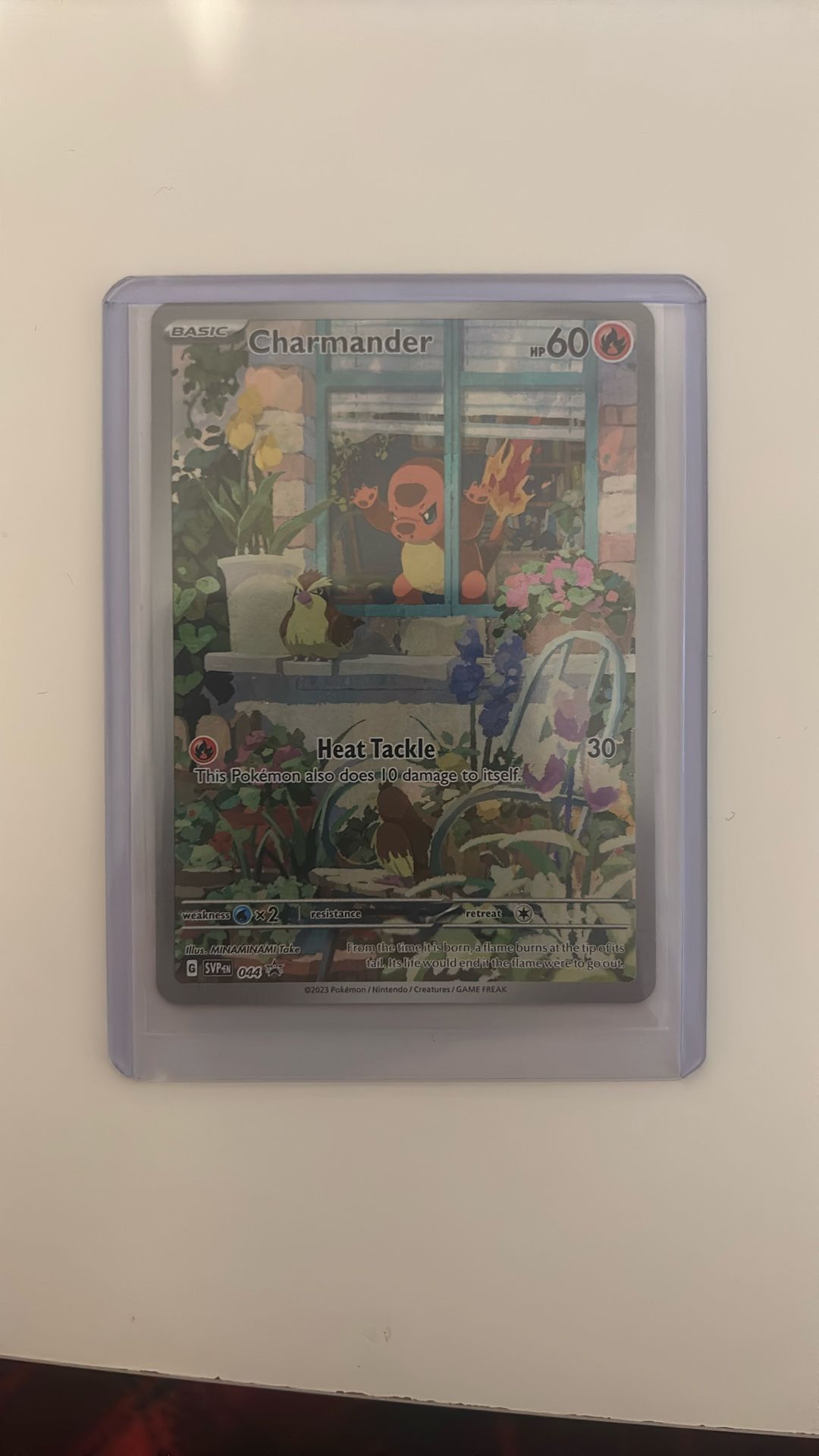 Charmander PROMO