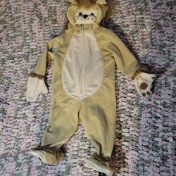 Lion Costume Size 12 Months