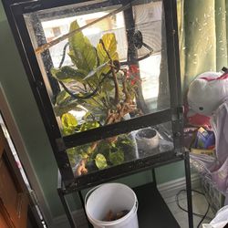 Reptile Cage Tree 