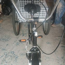 Custom  Beach Cruiser Trike