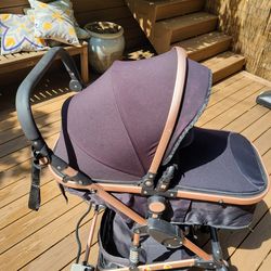 Stroller AND Car Seat, Front And Back Facing, Plus  Warm Bunting Bag