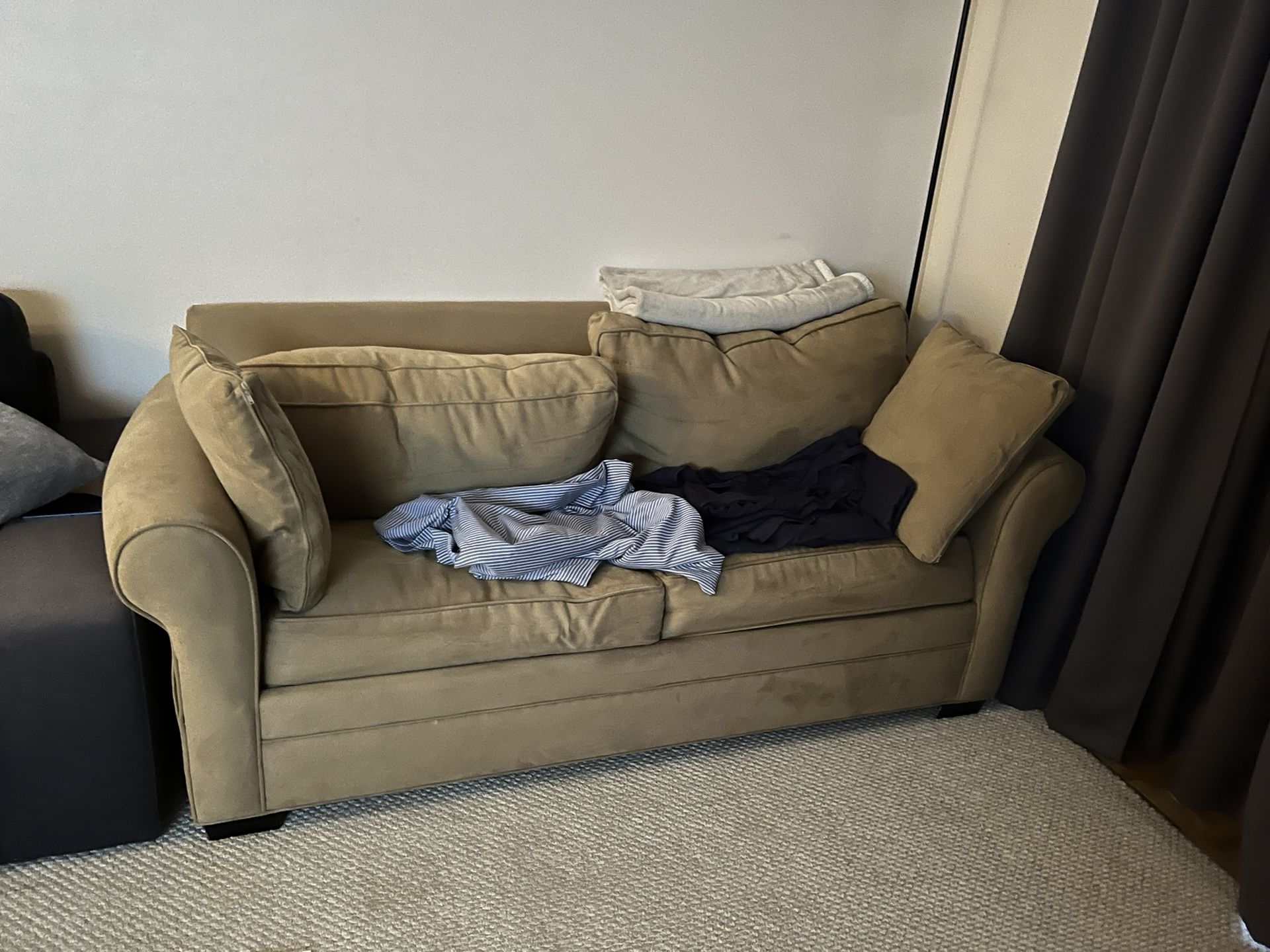 Sleeper Loveseat