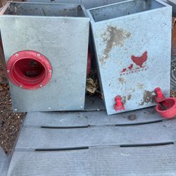 Rentacoop Chicken Feeders