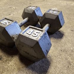 45 Pound Dumbbells