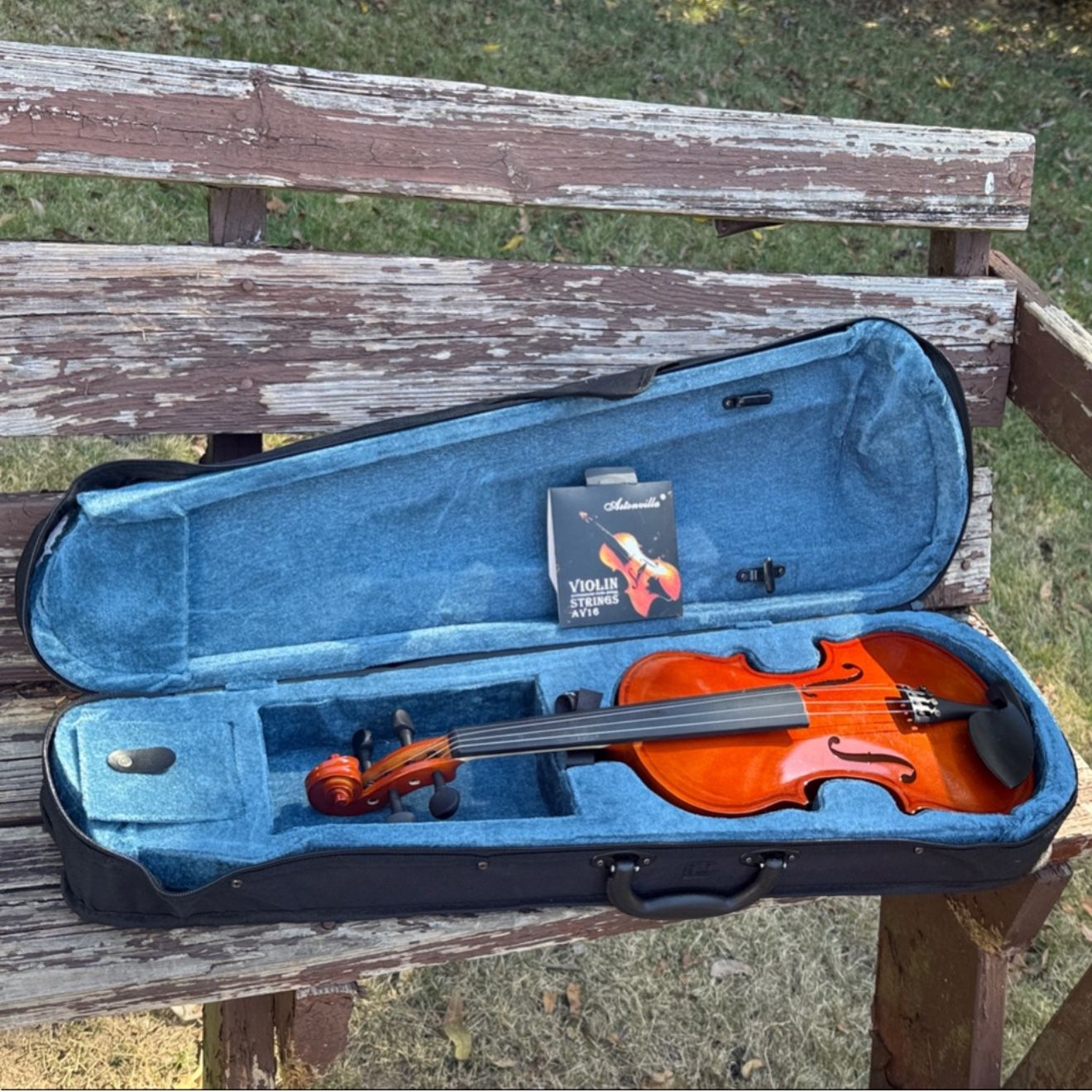 Violin