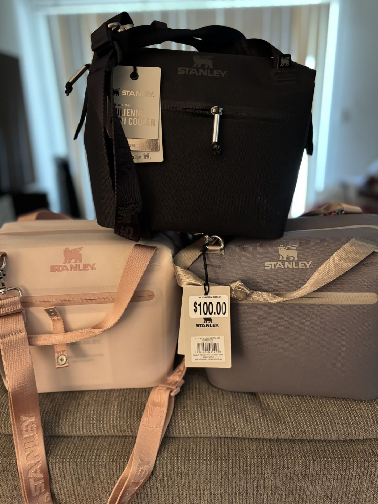 Stanley All Day Julienne Mini Cooler( $100 In Stores)